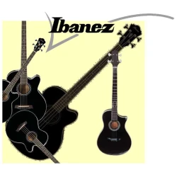 Gitaar Ibanez AEB5E Acoustic-Electric Bass