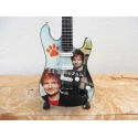 gitaar Fender Stratocaster Ed Sheeran Tribute