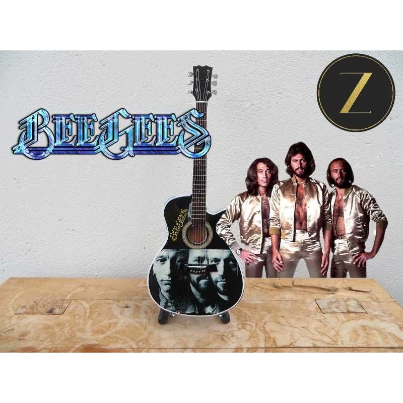 Akoestische gitaar van The BeeGees Tribute Zeldzaam!
