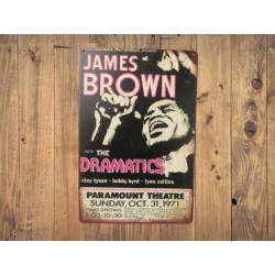 Wandbord JAMES BROWN 'Paramount Theatre 1971" Vintage Retro - Mancave - Wand Decoratie - Reclame Bord - Metalen bord